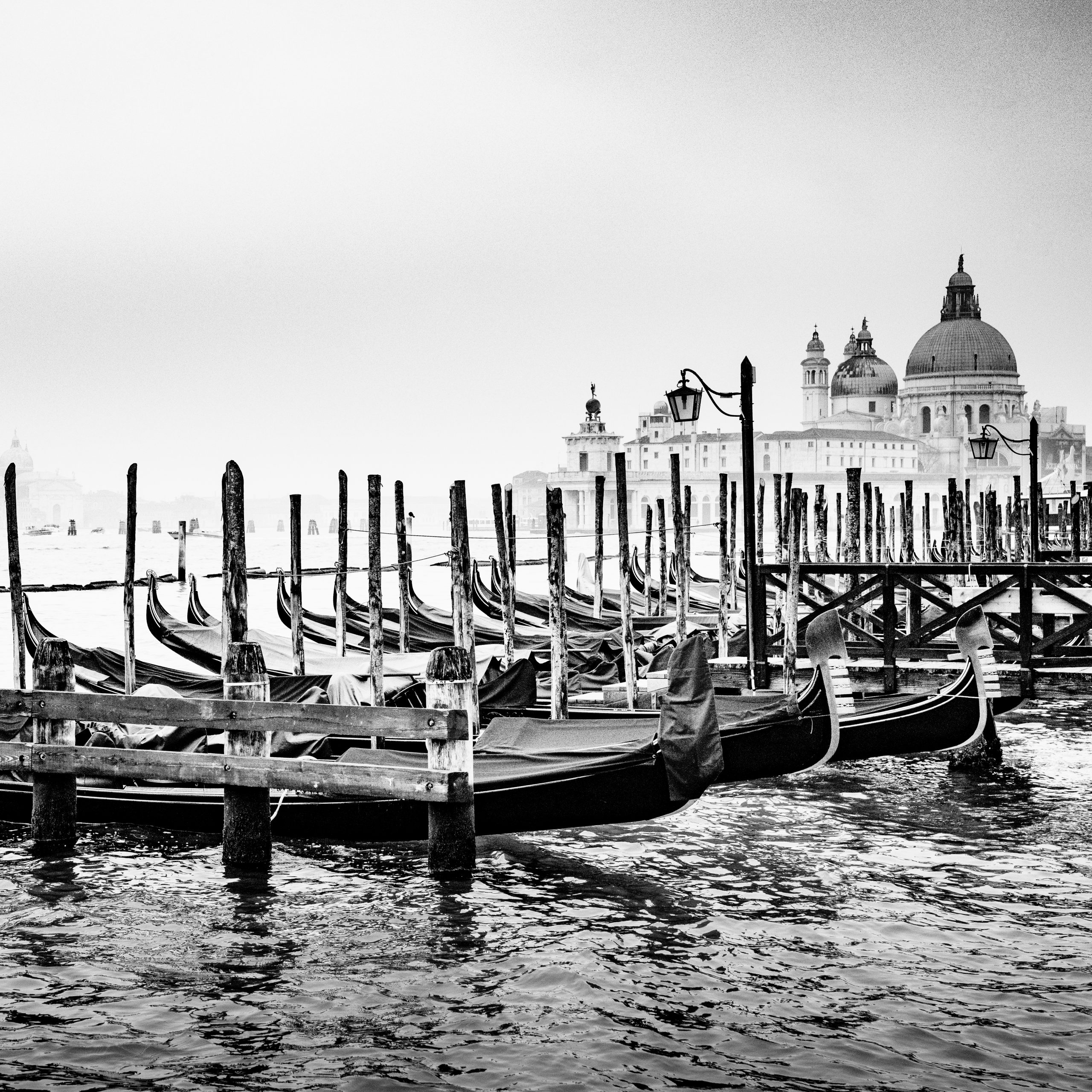 ju.sper.berlin-venice Venice